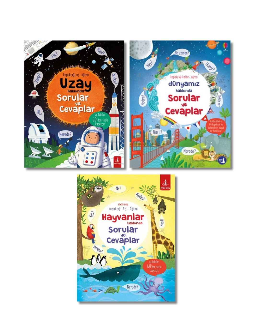 Sorular ve Cevaplar Serisi - Kapakçığı Aç Öğren 3 Kitap (Ciltli)