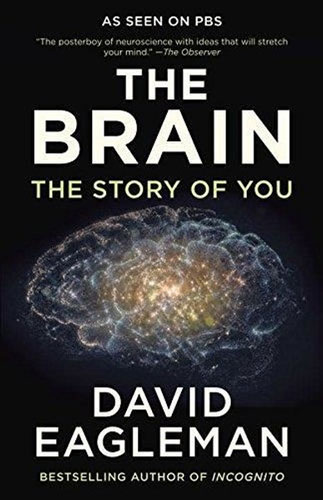 The Brain: The Story of You