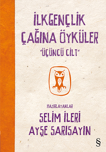 İlkgençlik Çağına Öyküler - 3