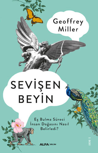 Sevişen Beyin