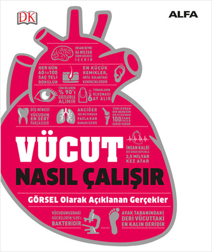 Vücut Nasıl Çalışır (Ciltli)