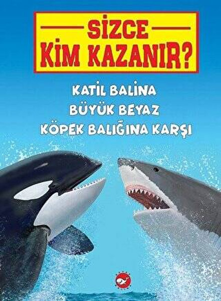 Sizce Kim Kazanır? -  Katil Balina Büyük Beyaz Köpek Balığına Karşı 