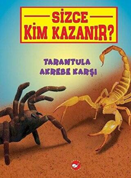 Sizce Kim Kazanır? - Tarantula Akrebe Karşı
