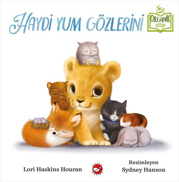Haydi Yum Gözlerini (Ciltli)