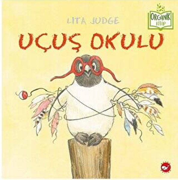 Uçuş Okulu 