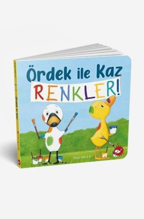 Ördek ile Kaz - Renkler !