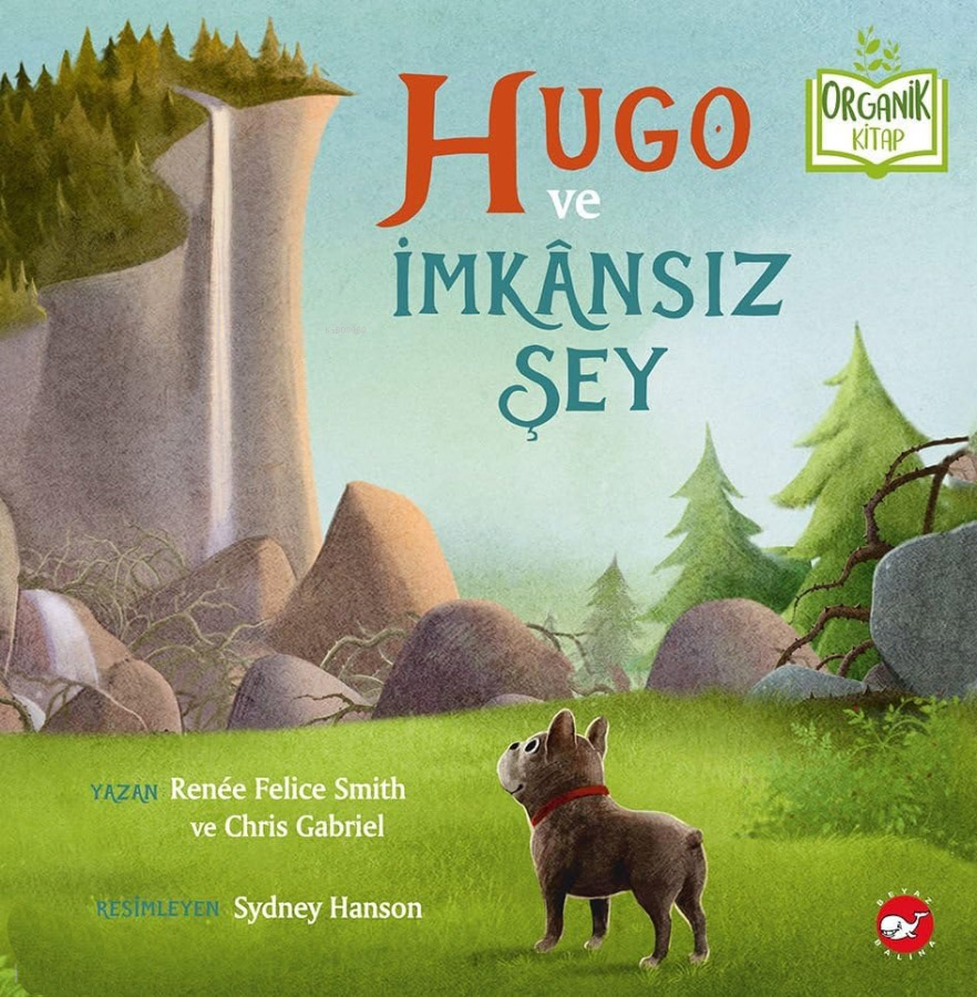 Hugo ve İmkansız Şey 