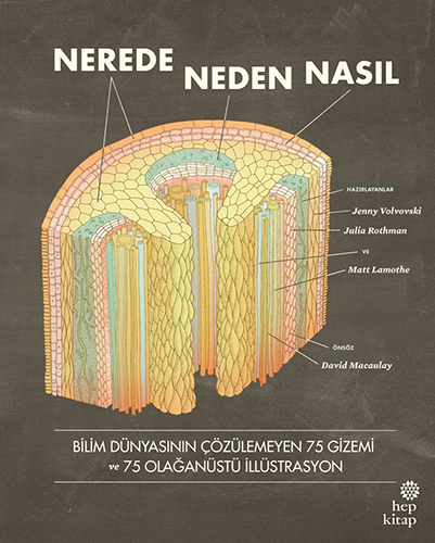 Nerede Neden Nasıl? (Ciltli)