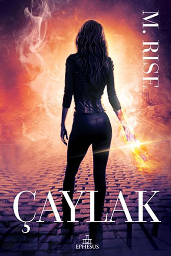 Çaylak (Ciltli) Çaylak (Ciltli)