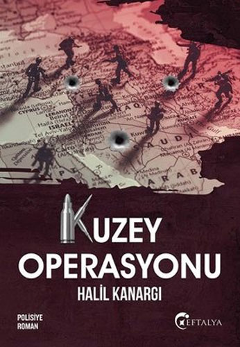 Kuzey Operasyonu Kuzey Operasyonu
