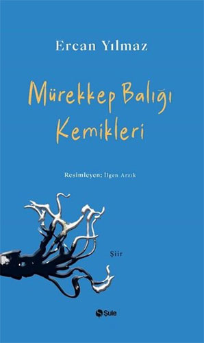 Mürekkep Balığı Kemikleri Mürekkep Balığı Kemikleri