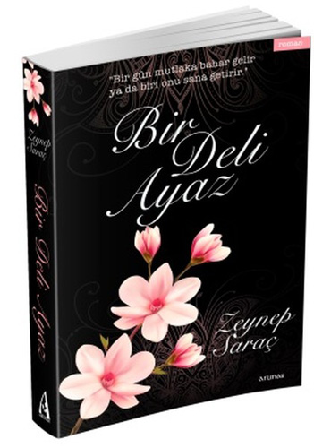 Bir Deli Ayaz Bir Deli Ayaz