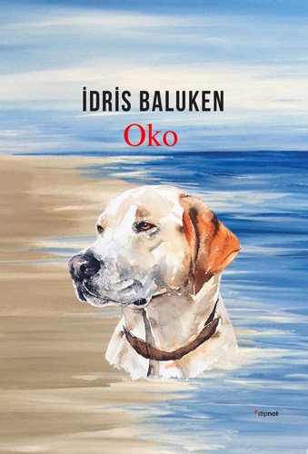Oko Oko