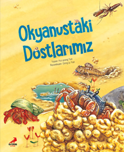 Okyanustaki Dostlarımız