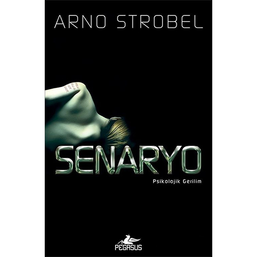 Senaryo Senaryo