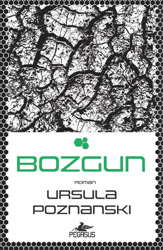 Bozgun 