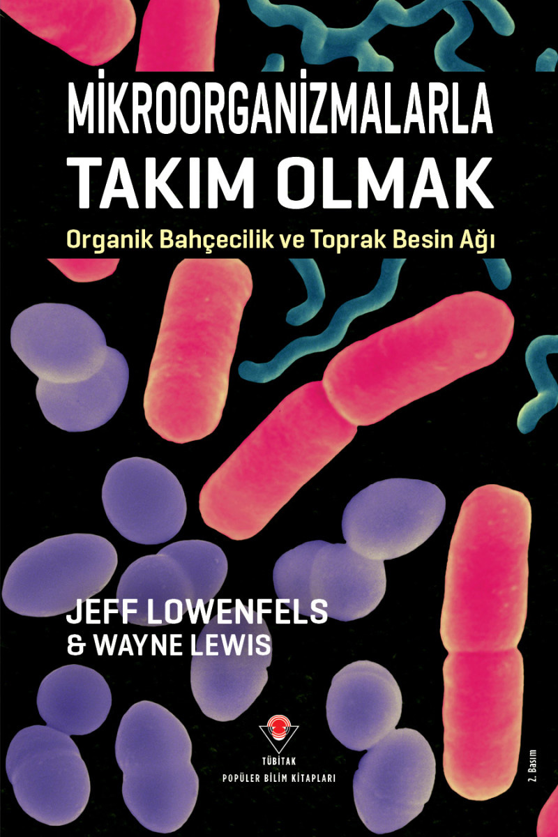 Mikroorganizmalarla Takım Olmak