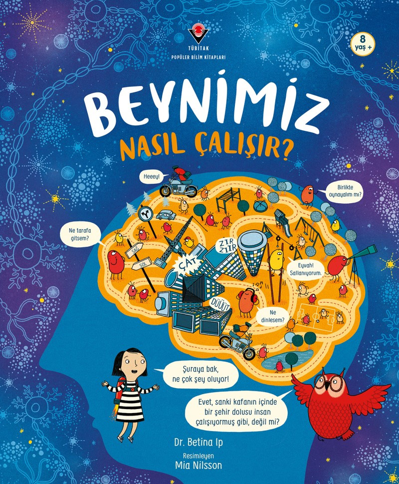 Beynimiz Nasıl Çalışır ?