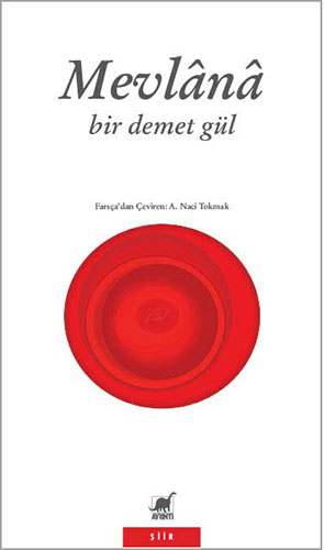 Bir Demet Gül