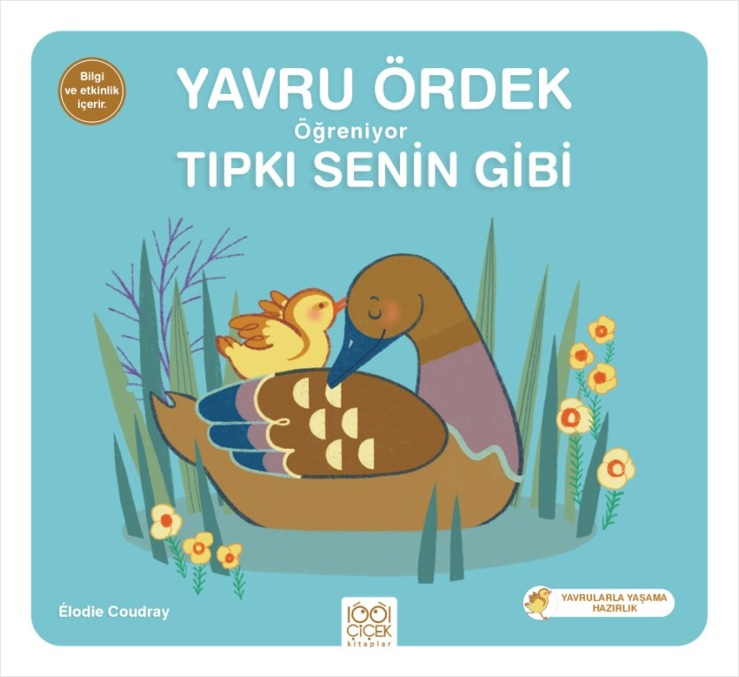 Yavru Ördek Öğreniyor Tıpkı Senin Gibi 