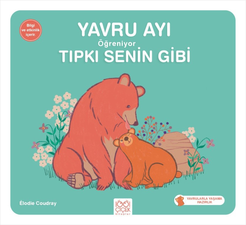 Yavru Ayı Öğreniyor Tıpkı Senin Gibi