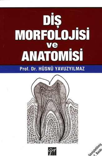 Diş Morfolojisi ve Anatomisi