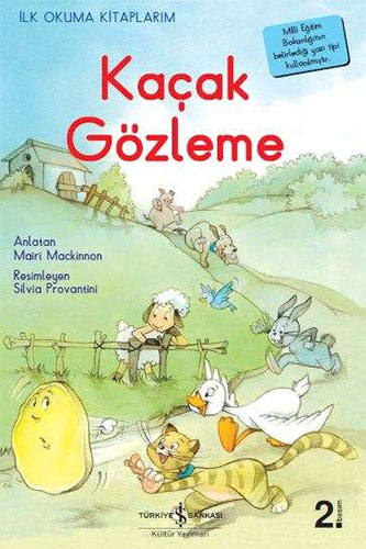Kaçak Gözleme