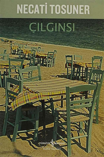 Çılgınsı Çılgınsı