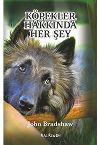 Köpekler Hakkında Her Şey