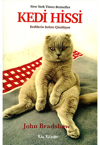 Kedi Hissi Kedi Hissi