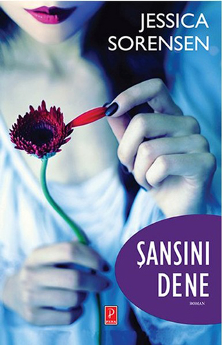 Şansını Dene Şansını Dene