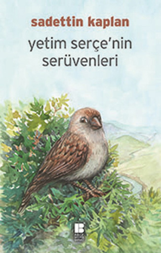 Yetim Serçenin Serüvenleri Yetim Serçenin Serüvenleri
