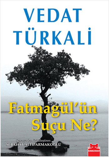 Fatmagül’Ün Suçu Ne? Fatmagül’Ün Suçu Ne?