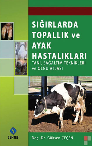 Sığırlarda Topallık ve Ayak Hastalıkları