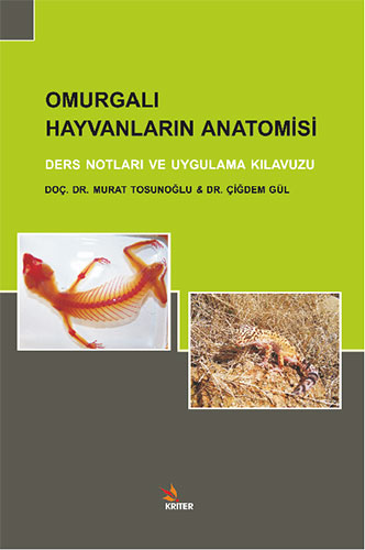 Omurgalı Hayvanların Anatomisi