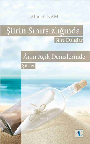 Şiirin Sınırsızlığında - Şiire Dalışlar