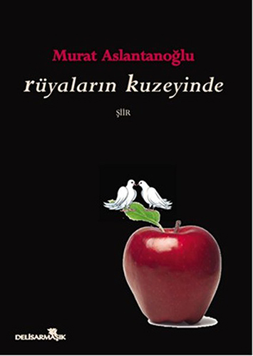Rüyaların Kuzeyinde Rüyaların Kuzeyinde