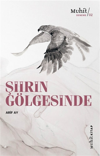 Şiirin Gölgesinde Şiirin Gölgesinde