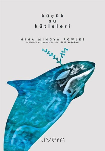  Küçük Su Kütleleri