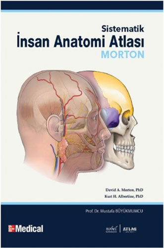 Morton - Sistematik İnsan Anatomi Atlası 