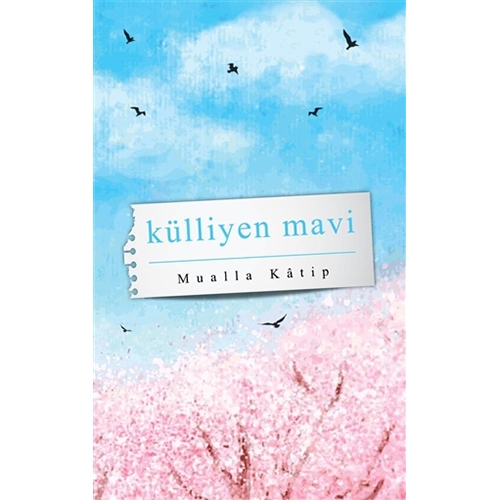Külliyen Mavi Külliyen Mavi