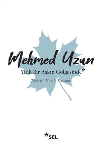 Yitik Bir Aşkın Gölgesinde Yitik Bir Aşkın Gölgesinde