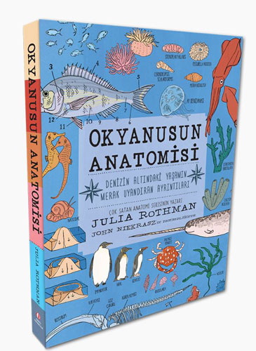 Okyanusun Anatomisi