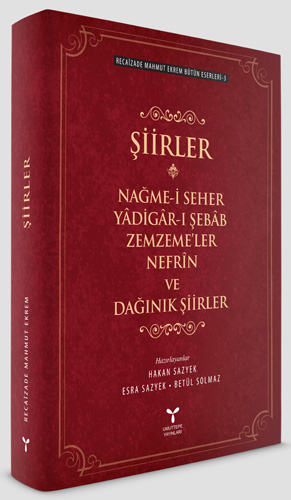 Şiirler Şiirler