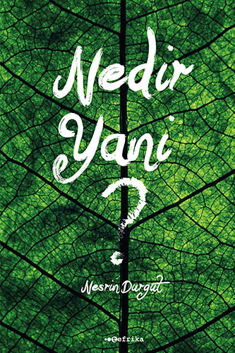Nedir Yani?