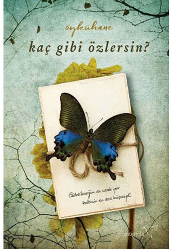 Kaç Gibi Özlersin? Kaç Gibi Özlersin?