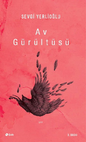 Av Gürültüsü