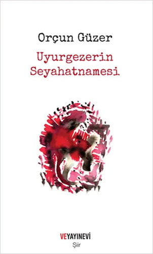 Uyurgezerin Seyahatnamesi