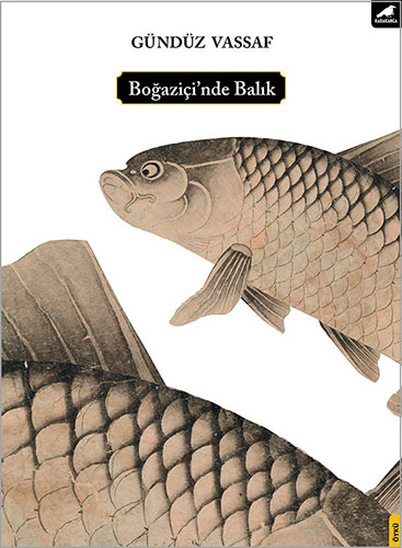 Boğaziçi’Nde Balık Boğaziçi’Nde Balık