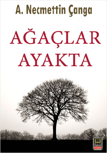 Ağaçlar Ayakta Ağaçlar Ayakta